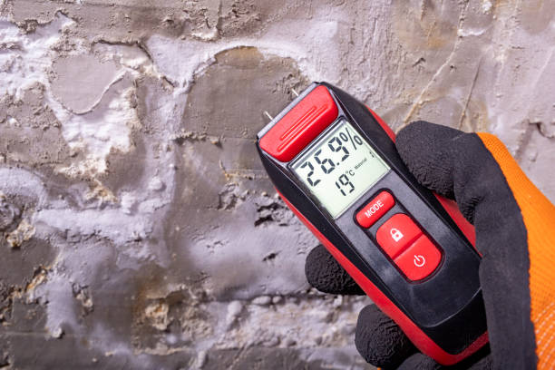 Best Mold Testing  in Red Wing, MN
