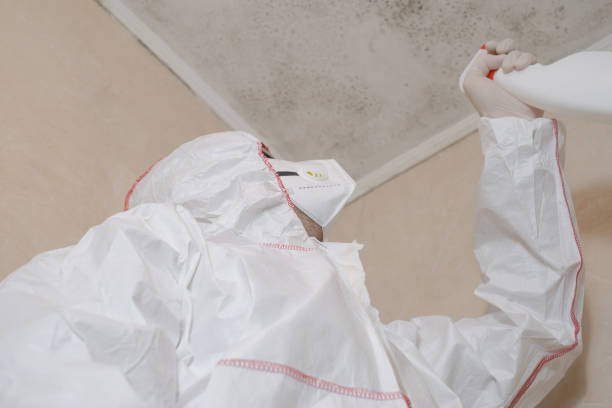 Best Crawl Space Mold Removal  in Red Wing, MN