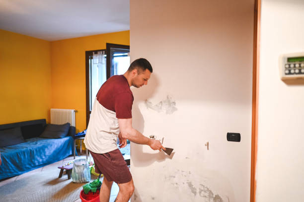 Best Black Mold Removal  in Red Wing, MN